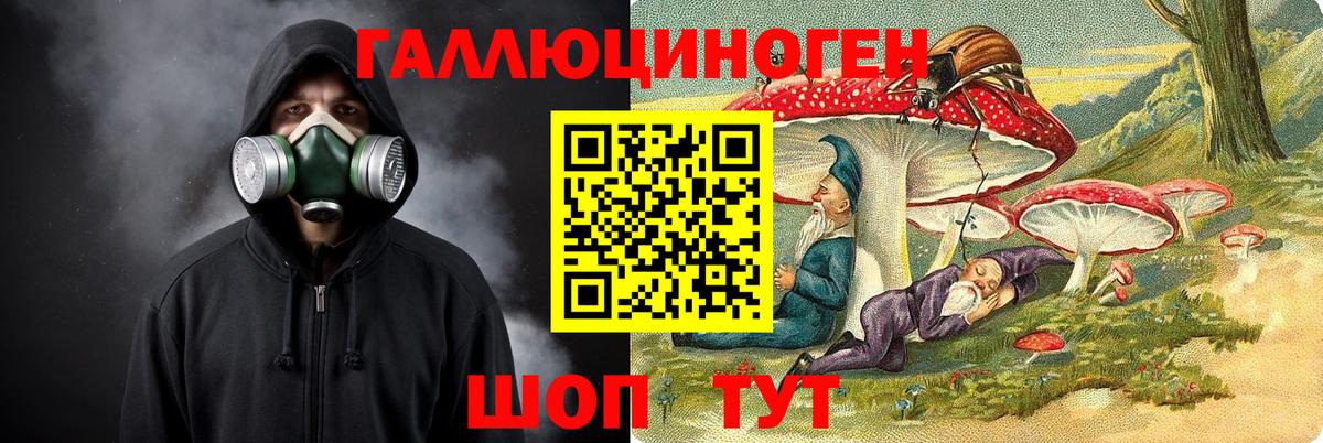Нерюнгри  Галлюциногенные грибы Magic Shrooms  Вход с VPN 